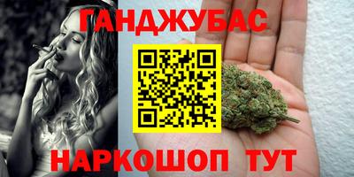 кокс Кингисепп