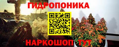 молекула духа Кинель