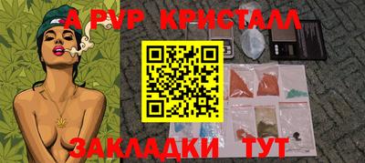 кокс Кингисепп