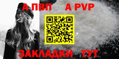 кокс Кингисепп