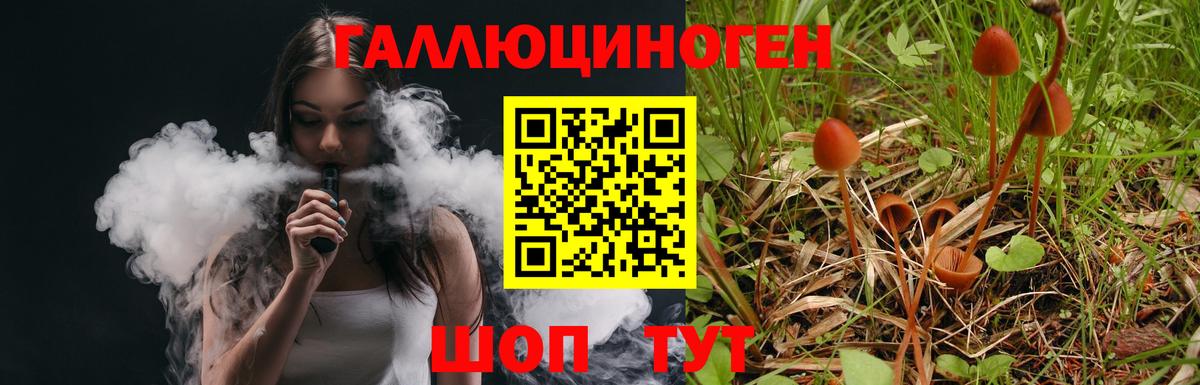 Псилоцибиновые грибы Cubensis  Вход с VPN  Кубинка 