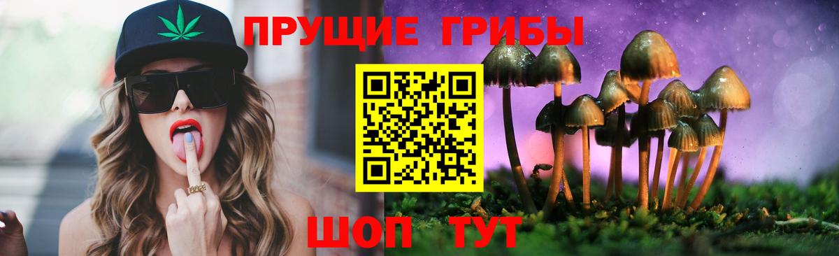 Псилоцибиновые грибы ЛСД Кубинка